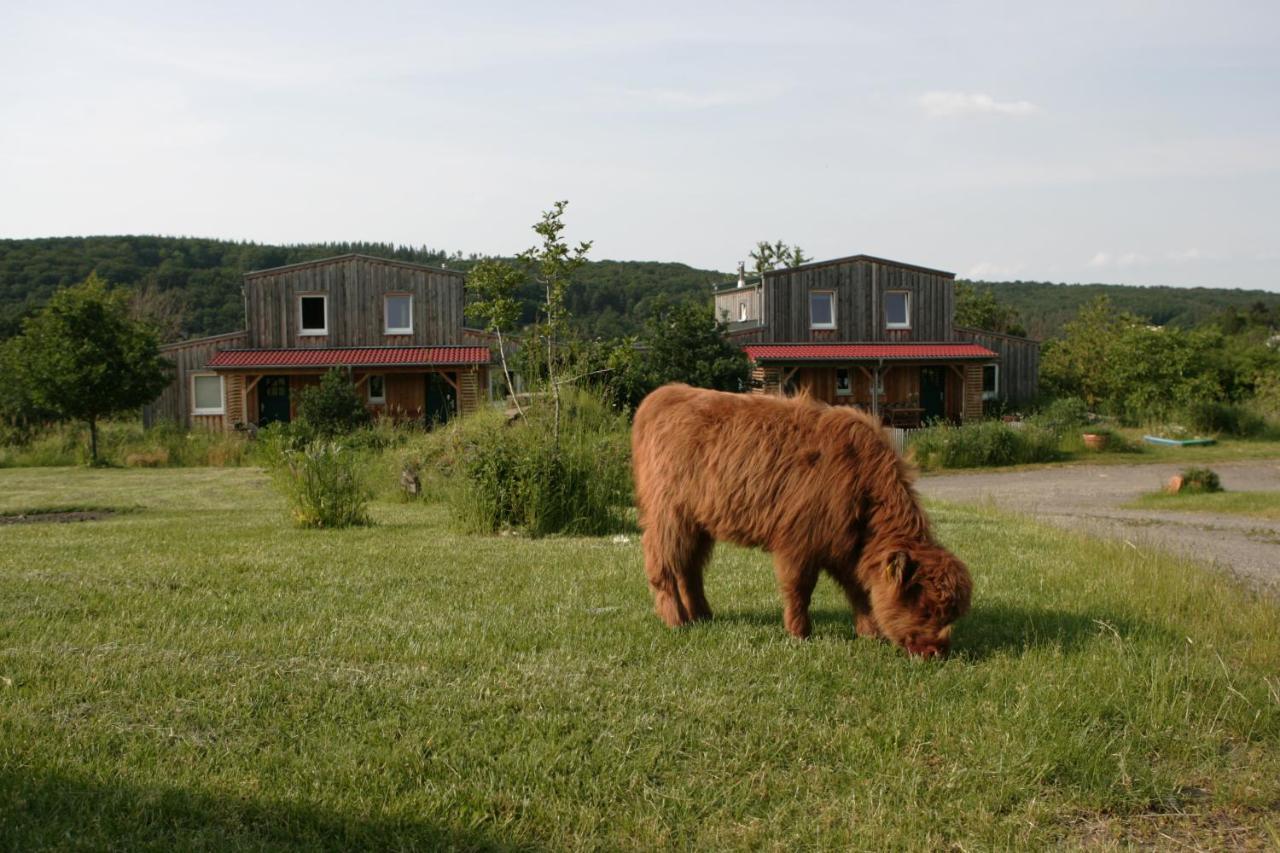 Apartament Rech Hof Urlaub Auf Dem Bauernhof Schalkenbach Zewnętrze zdjęcie
