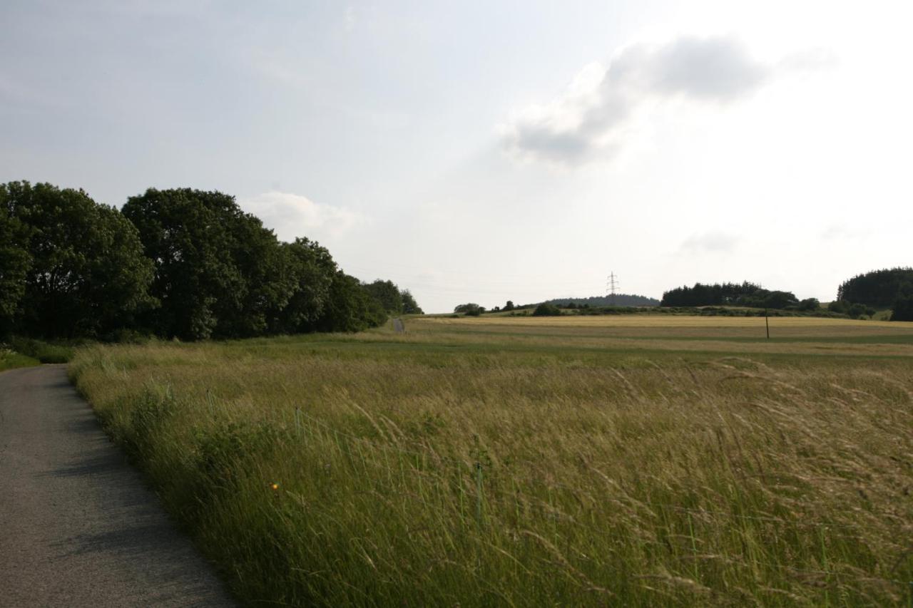 Apartament Rech Hof Urlaub Auf Dem Bauernhof Schalkenbach Zewnętrze zdjęcie