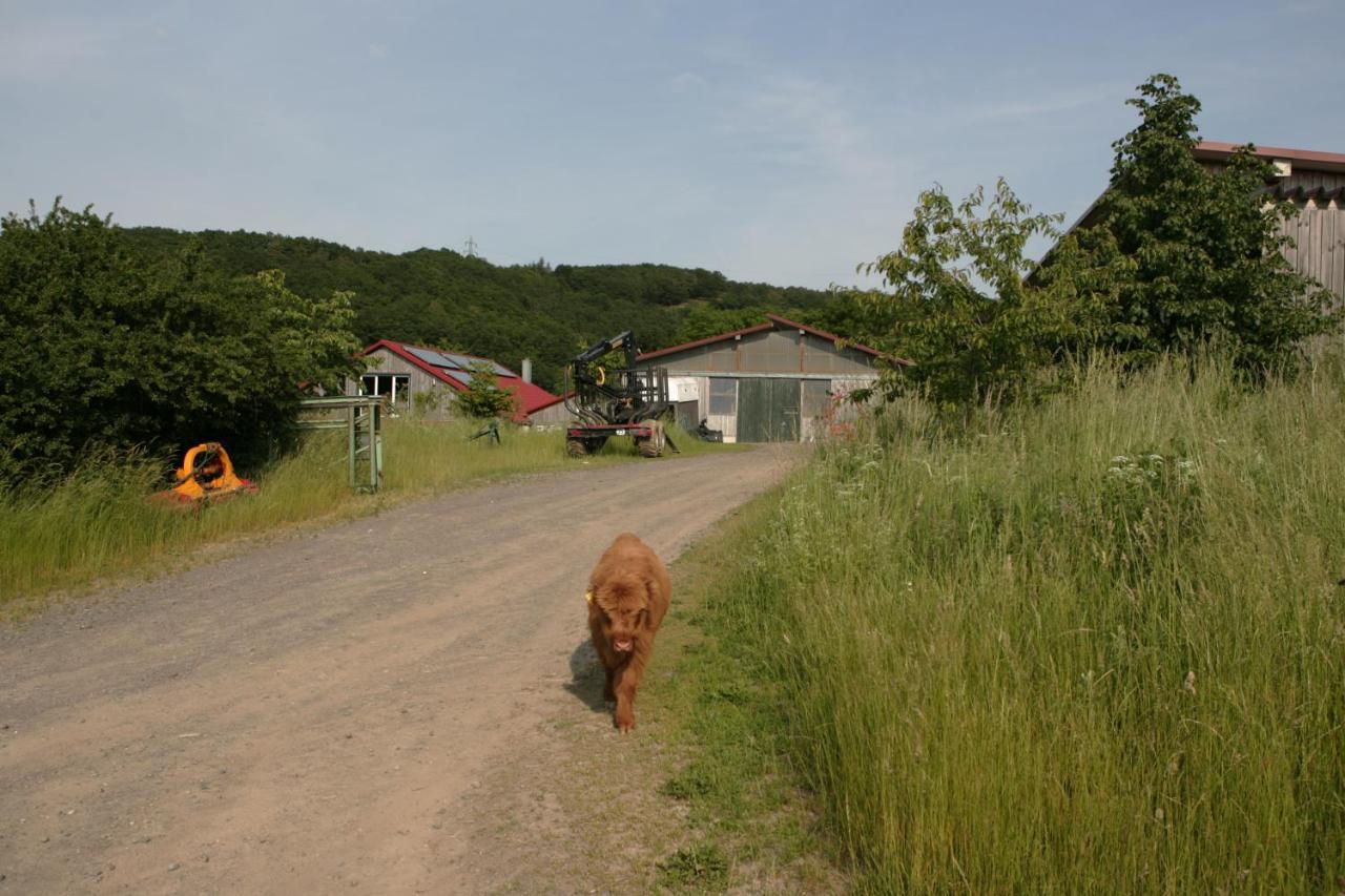 Apartament Rech Hof Urlaub Auf Dem Bauernhof Schalkenbach Zewnętrze zdjęcie